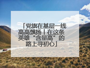 党旗在基层一线高高飘扬丨在这条英雄“含量高”的路上寻初心