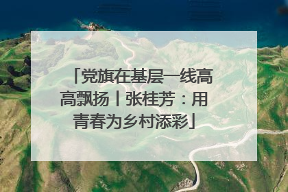 党旗在基层一线高高飘扬丨张桂芳：用青春为乡村添彩