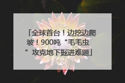 全球首台！边挖边爬坡！900吨“毛毛虫”攻克地下掘进难题