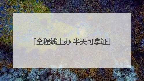 全程线上办 半天可拿证