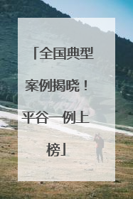 全国典型案例揭晓！平谷一例上榜