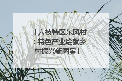六枝特区东风村：特色产业绘就乡村振兴新图景