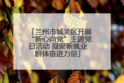 兰州市城关区开展“新心向党”主题党日活动 凝聚新就业群体奋进力量