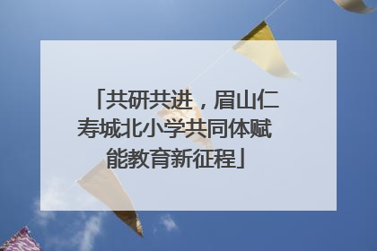共研共进，眉山仁寿城北小学共同体赋能教育新征程