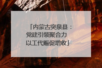内蒙古突泉县：党建引领聚合力 以工代赈促增收