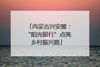 内蒙古兴安盟：“阳光银行”点亮乡村振兴路