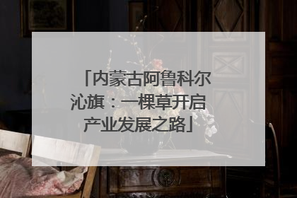 内蒙古阿鲁科尔沁旗：一棵草开启产业发展之路