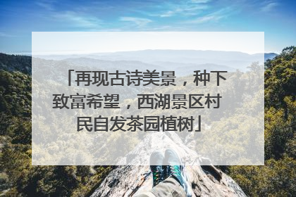 再现古诗美景，种下致富希望，西湖景区村民自发茶园植树