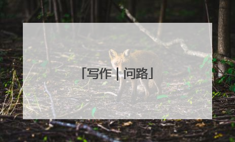 写作｜问路