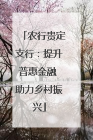 农行贵定支行：提升普惠金融 助力乡村振兴