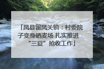 凤县留凤关镇：村委院子变身晒麦场 扎实推进“三夏”抢收工作