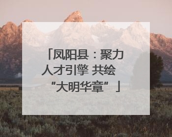 凤阳县：聚力人才引擎 共绘“大明华章”