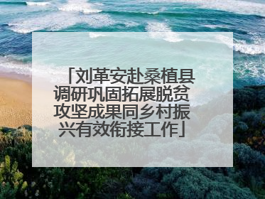 刘革安赴桑植县调研巩固拓展脱贫攻坚成果同乡村振兴有效衔接工作