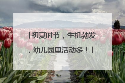 初夏时节，生机勃发，幼儿园里活动多！