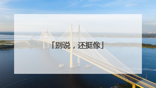 别说，还挺像