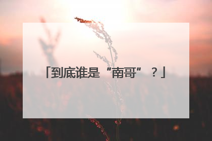 到底谁是“南哥”？
