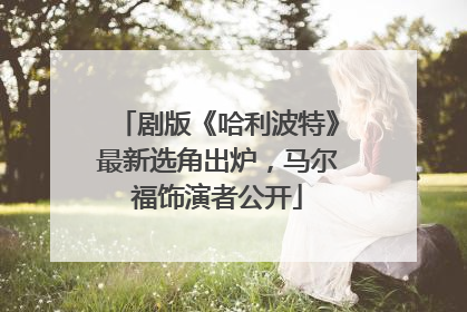 剧版《哈利波特》最新选角出炉，马尔福饰演者公开