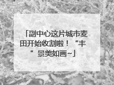副中心这片城市麦田开始收割啦！“丰”景美如画~