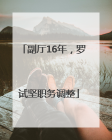 副厅16年，罗试坚职务调整