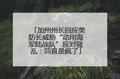 加州州长回应美防长威胁“动用海军陆战队”应对骚乱：简直是疯了
