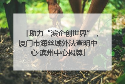 助力“滨企创世界”，厦门市海丝域外法查明中心·滨州中心揭牌