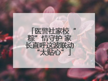 医警社家校“粽”情守护 家长直呼这波联动“太贴心”