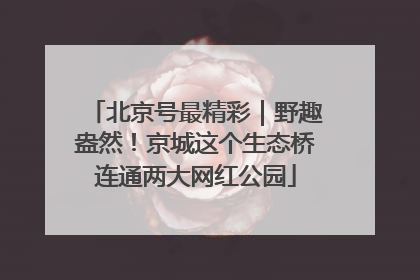 北京号最精彩｜野趣盎然！京城这个生态桥连通两大网红公园