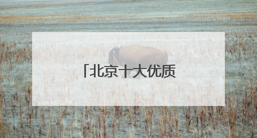 北京十大优质律师事务所权威推荐精英律师