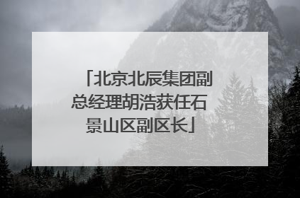 北京北辰集团副总经理胡浩获任石景山区副区长