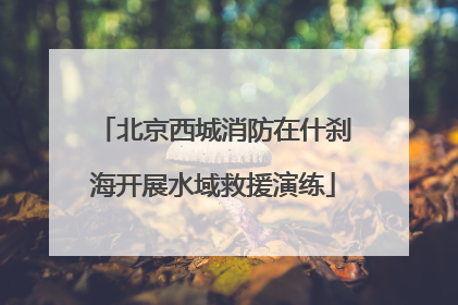 北京西城消防在什刹海开展水域救援演练