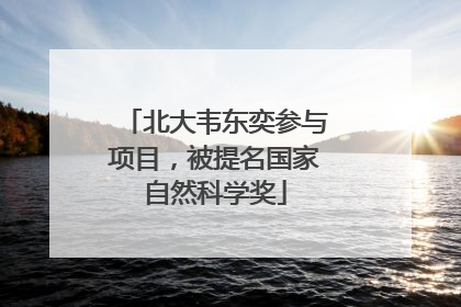 北大韦东奕参与项目，被提名国家自然科学奖