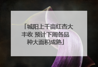 城阳上千亩红杏大丰收 预计下周各品种大面积成熟