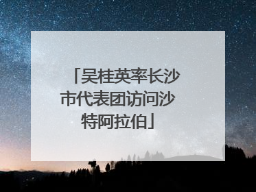吴桂英率长沙市代表团访问沙特阿拉伯