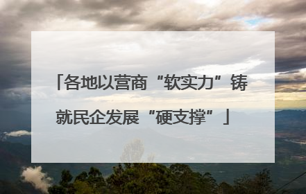 各地以营商“软实力”铸就民企发展“硬支撑”