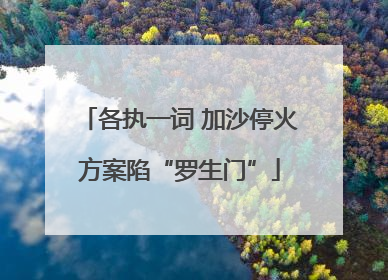各执一词 加沙停火方案陷“罗生门”