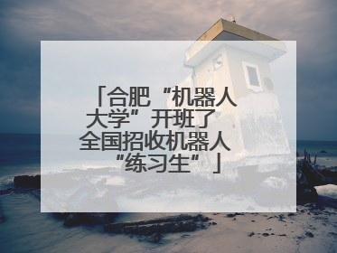 合肥“机器人大学”开班了 全国招收机器人“练习生”