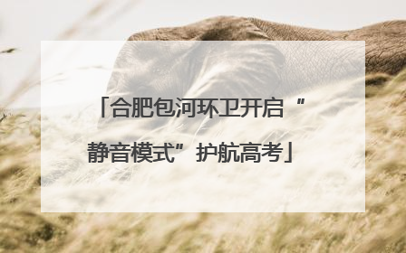合肥包河环卫开启“静音模式”护航高考