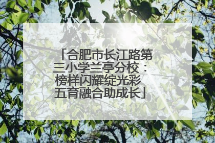 合肥市长江路第三小学兰亭分校：榜样闪耀绽光彩 五育融合助成长