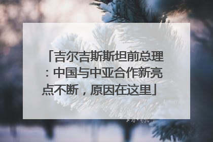 吉尔吉斯斯坦前总理：中国与中亚合作新亮点不断，原因在这里