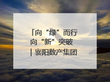 向“绿”而行 向“新”突破｜襄阳数产集团赋能低碳未来