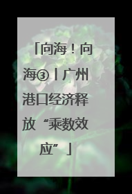 向海！向海③丨广州港口经济释放“乘数效应”