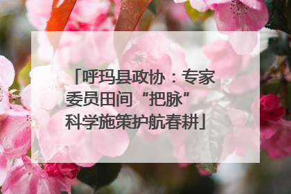 呼玛县政协：专家委员田间“把脉” 科学施策护航春耕