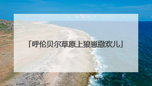 呼伦贝尔草原上狼崽撒欢儿