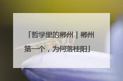 哲学里的郴州｜郴州第一个，为何落桂阳