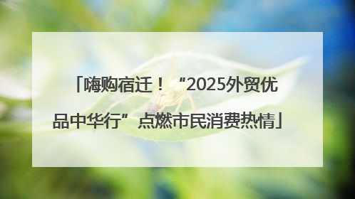 嗨购宿迁！“2025外贸优品中华行”点燃市民消费热情
