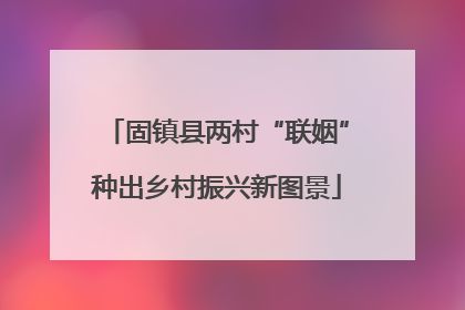 固镇县两村“联姻”种出乡村振兴新图景