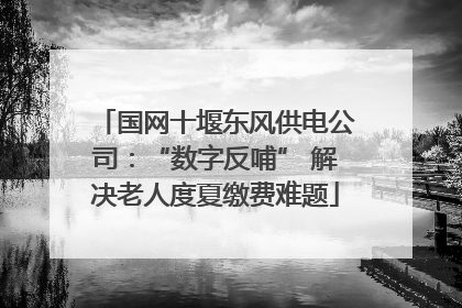 国网十堰东风供电公司：“数字反哺” 解决老人度夏缴费难题