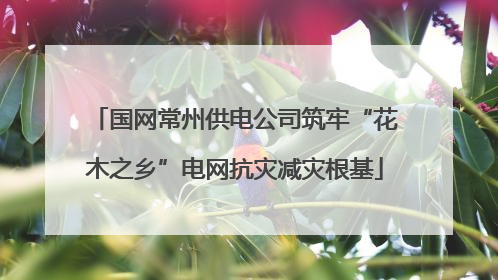国网常州供电公司筑牢“花木之乡”电网抗灾减灾根基
