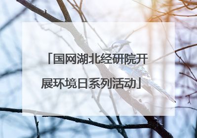国网湖北经研院开展环境日系列活动