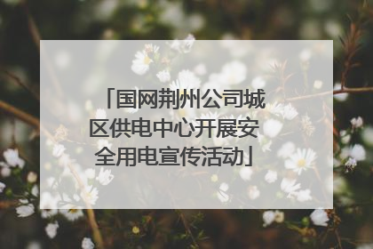 国网荆州公司城区供电中心开展安全用电宣传活动